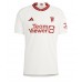 Pánský Fotbalový dres Manchester United Donny van de Beek #34 2023-24 Třetí Krátký Rukáv